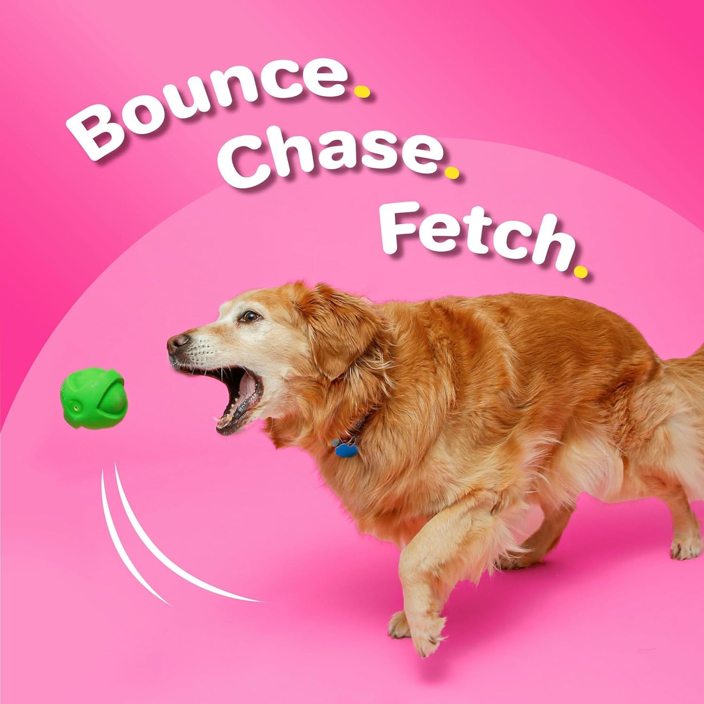 Squeaky Latex Dog Toy – Soft Chew & Interactive Play Toy