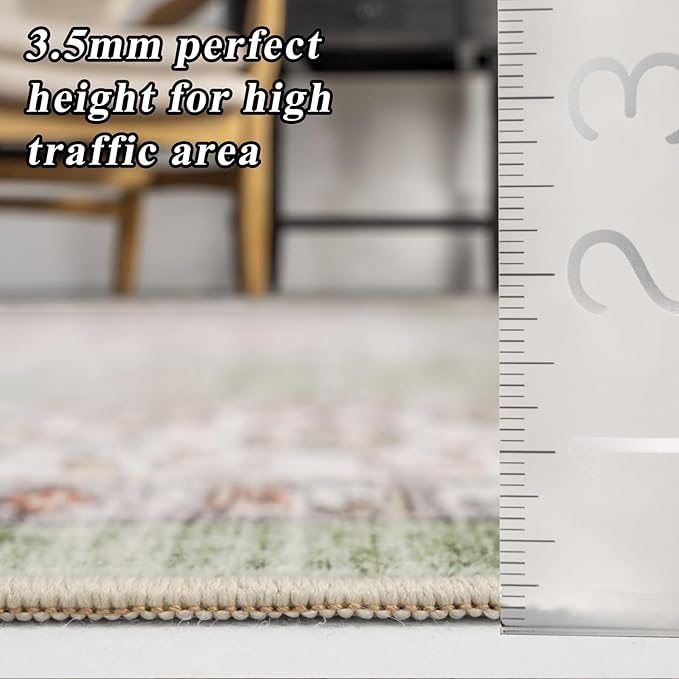 RUUGME Living Room 3x5 Area Rugs - Washable Lightweight Area Rug Stain Resistant Carpet Vintage Soft Rugs for Bedroom Kitchen with Non Slip Backing Home Decor Small Mat 3x5 Sage