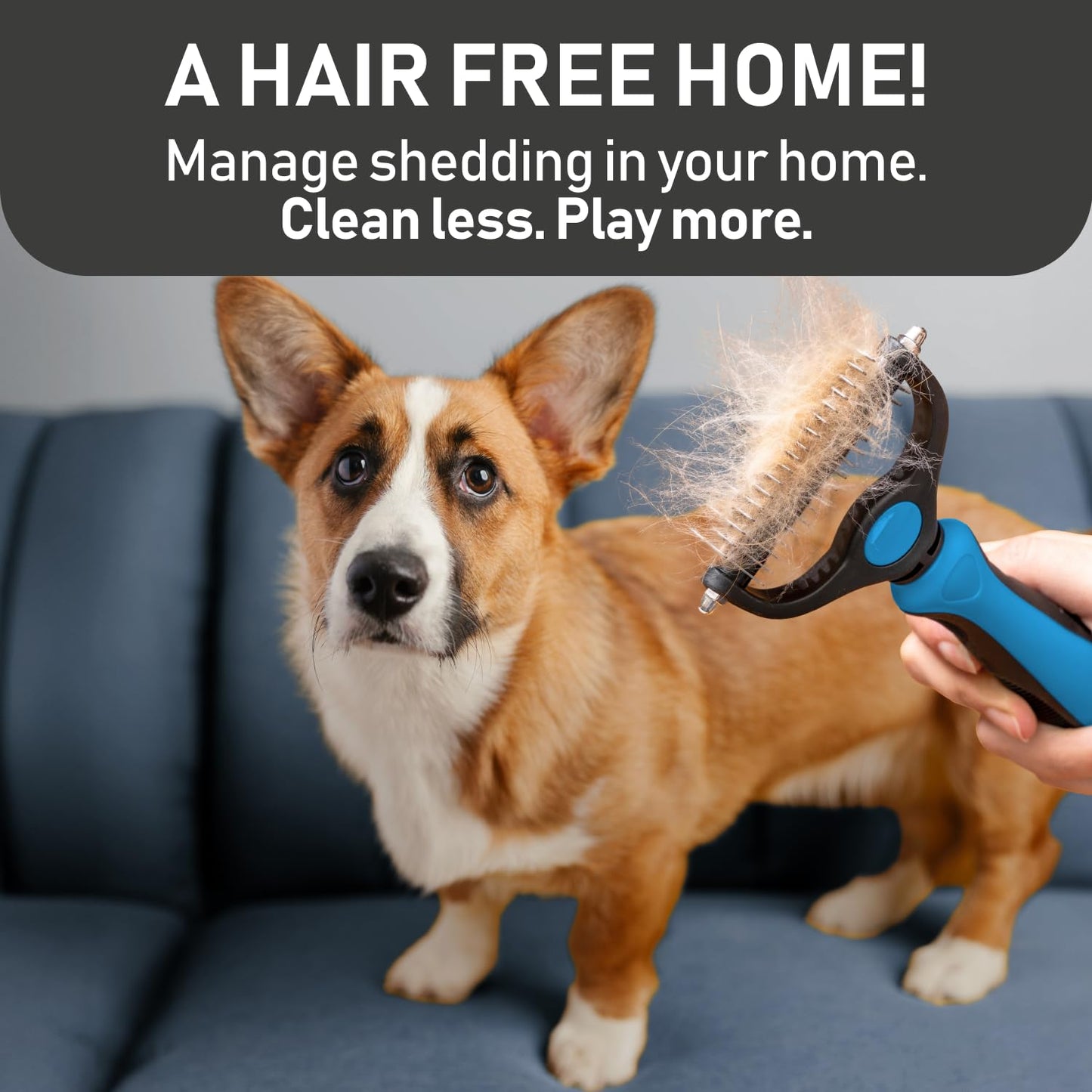 Pet Grooming Brush & Gloves Set – Deshedding & Massage Kit for Dogs & Cats