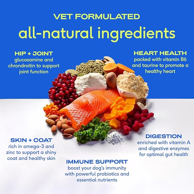 Native Pet Dog Vitamins & Supplements - 11-in-1 Vitamin Powder for Dog Food Topper - Collagen, Glucosamine, Probiotics, Omega & More- Supports Healthy Gut, Mobility & Overall Health - 60 Scoops