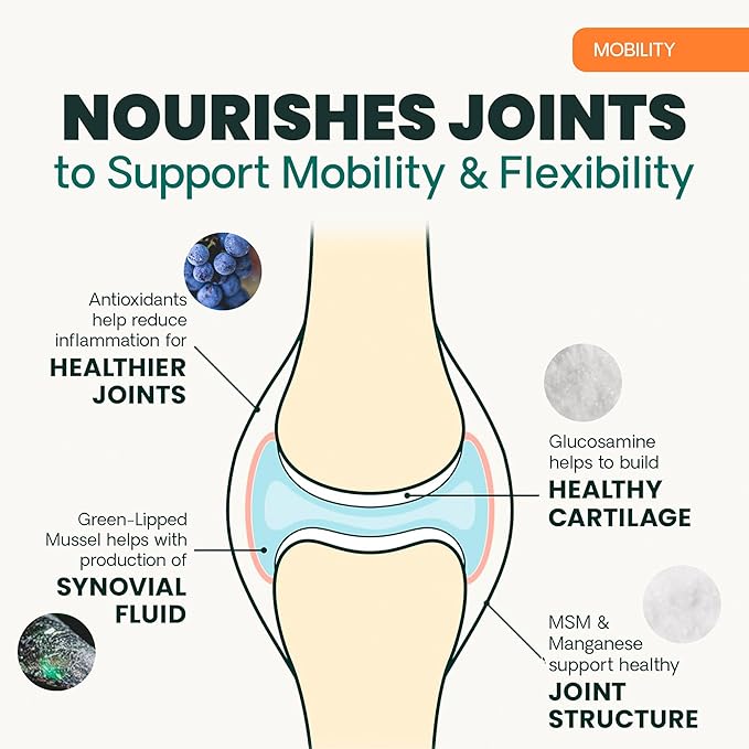 VetriScience Extra Strength Healthy Hip & Joint Chews, GlycoFlex 3, Glucosamine, Green-Lipped Mussel, Joint Support Supplement for Dogs, Promote Mobility & Soothe Joint Discomfort, Chicken, 120 Count
