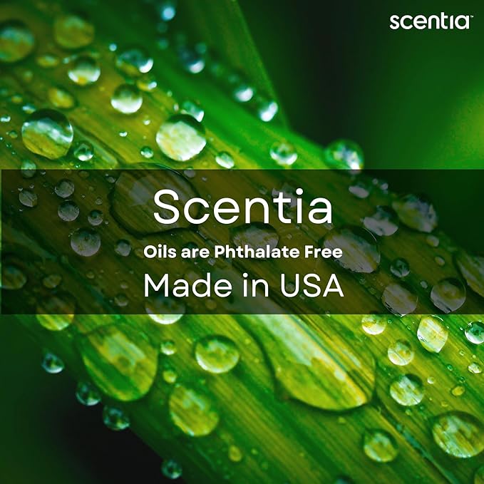 Scentia Hotel Diffuser Oil Inspired by The Delano Beach Club Hotel Scent - 120 mL 4.06 fl oz - Fragrance Oil Blend Orange, Green Tea for Aromatherapy Diffusers - California Breeze, Thanksgiving Gift