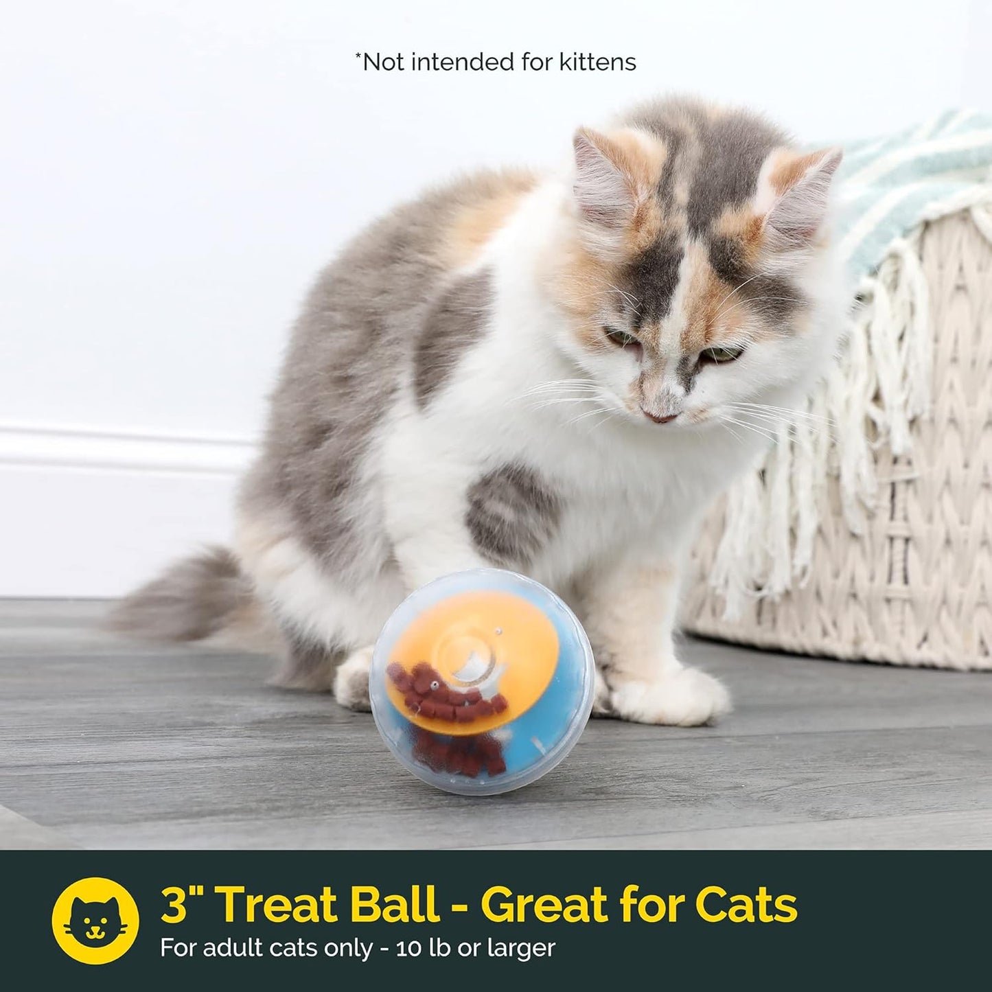 Interactive Treat Ball for Dogs – Slow Feeding & Fun Toy