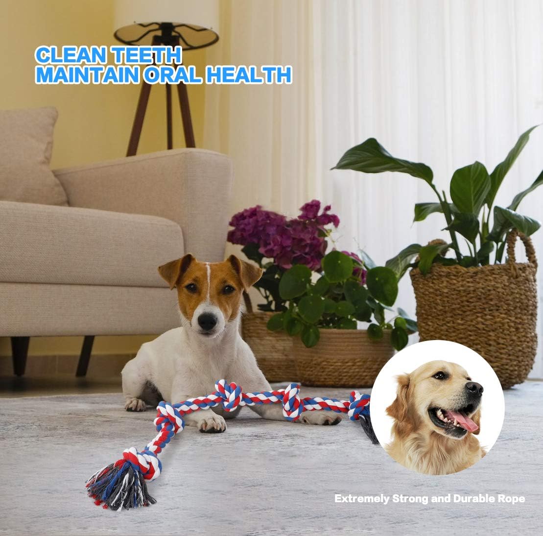 Heavy Duty Rope Tug Toy for Dogs – Durable Chew & Training Toy