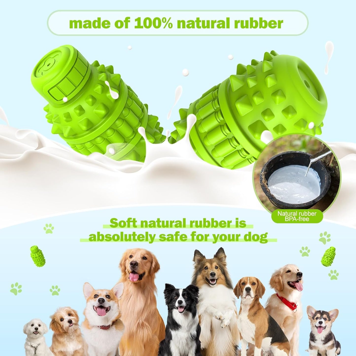 Interactive Natural Rubber Chew & Squeaky Dog Toy