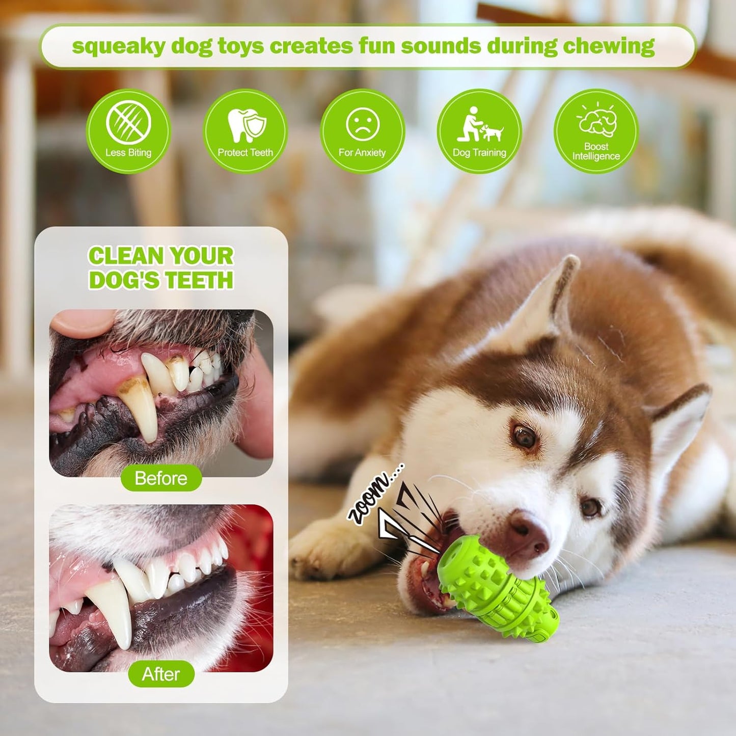 Interactive Natural Rubber Chew & Squeaky Dog Toy