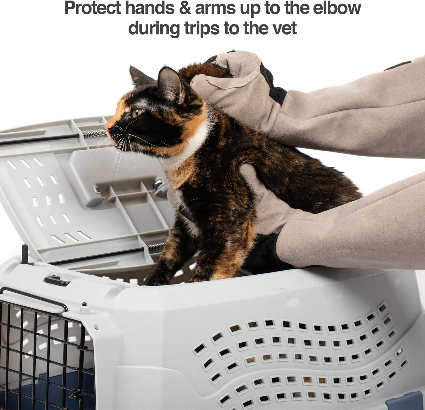 Protective Pet Grooming Glove for Dogs & Cats