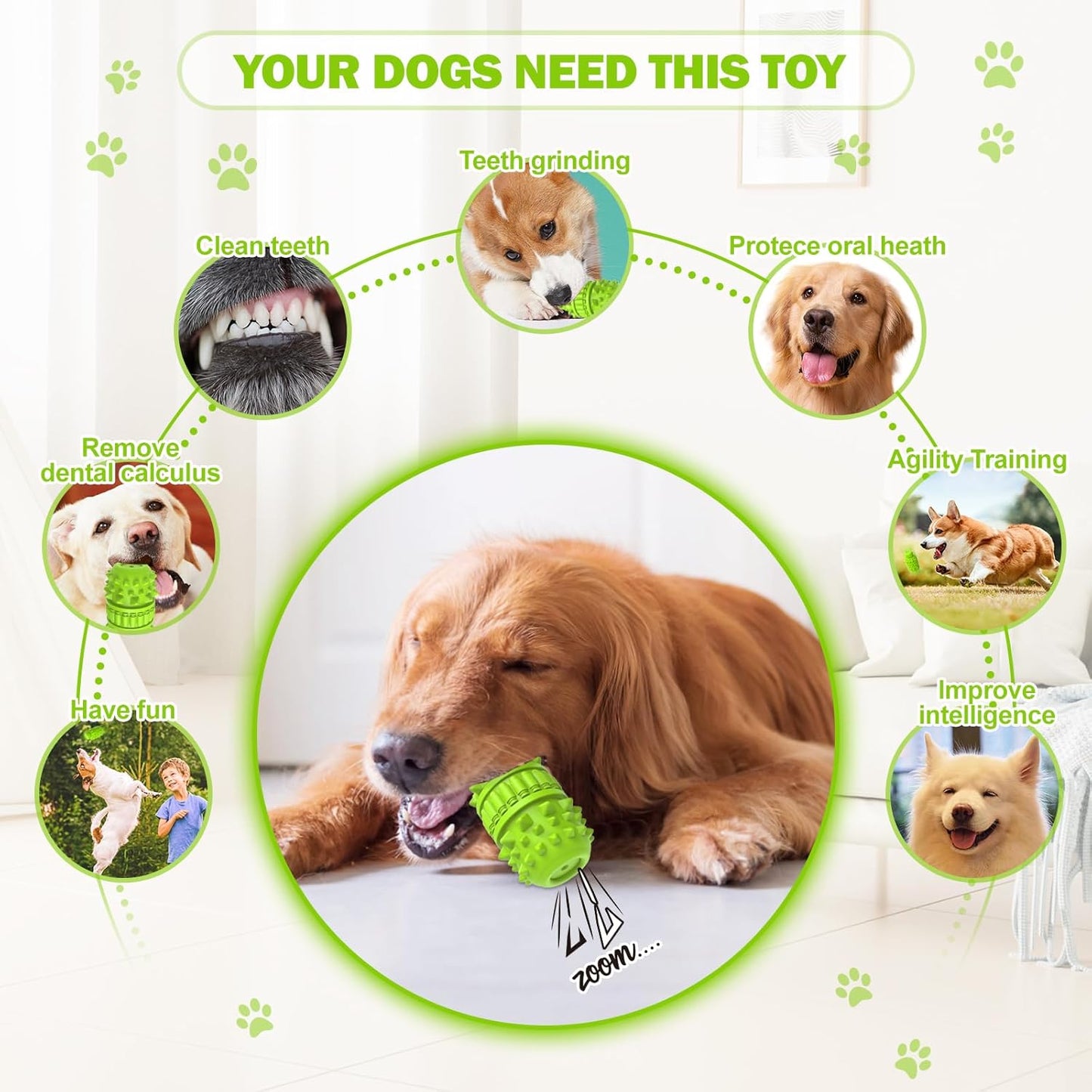 Interactive Natural Rubber Chew & Squeaky Dog Toy