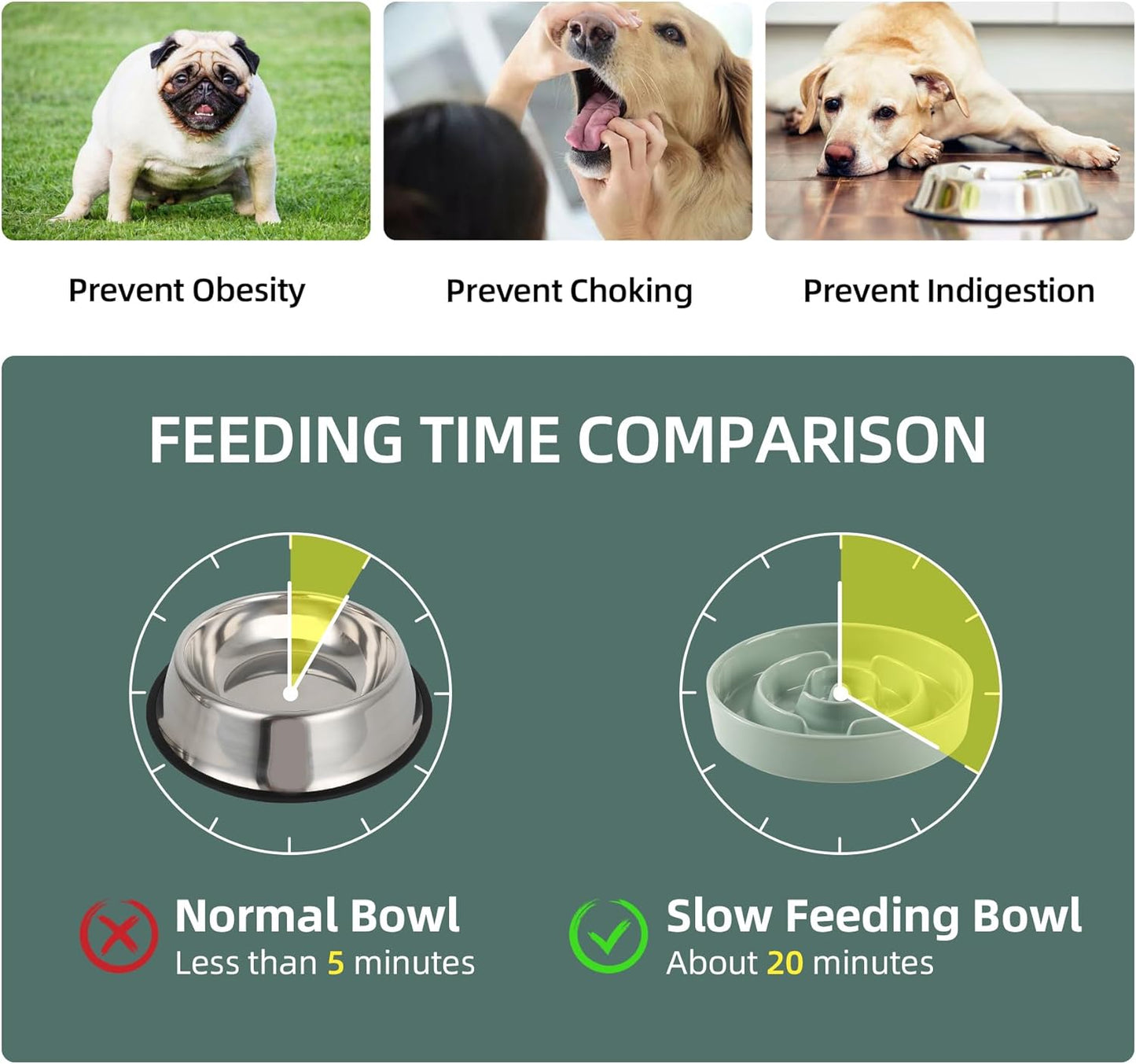 Ceramic Slow Feeder Bowl for Dogs & Cats