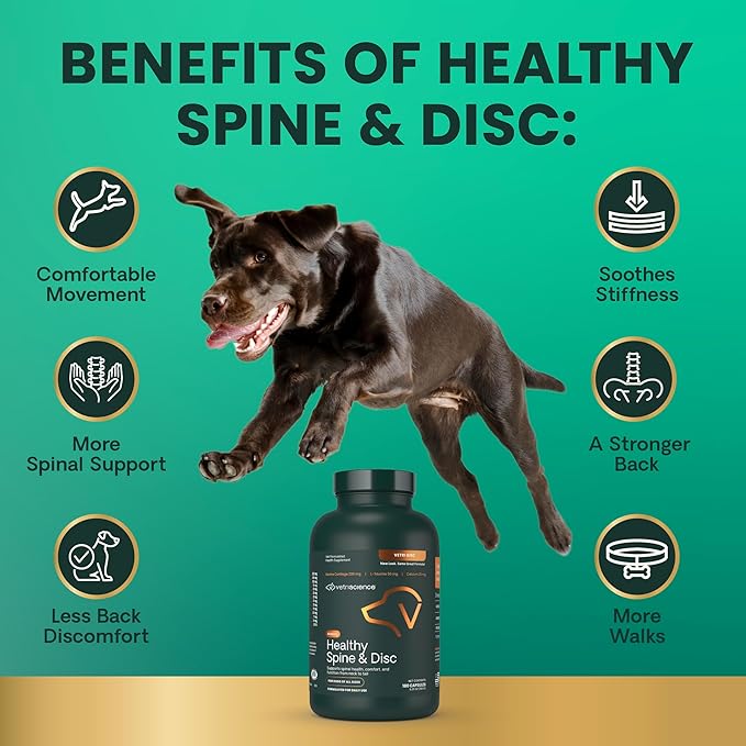 VetriScience Healthy Spine & Disc Easy-Open Capsules, Back and Spinal Support Chondroitin and Taurine Supplement for Dogs, Perfect for Dachshunds, Corgis, Frenchies, Basset Hounds & More, 180 Count