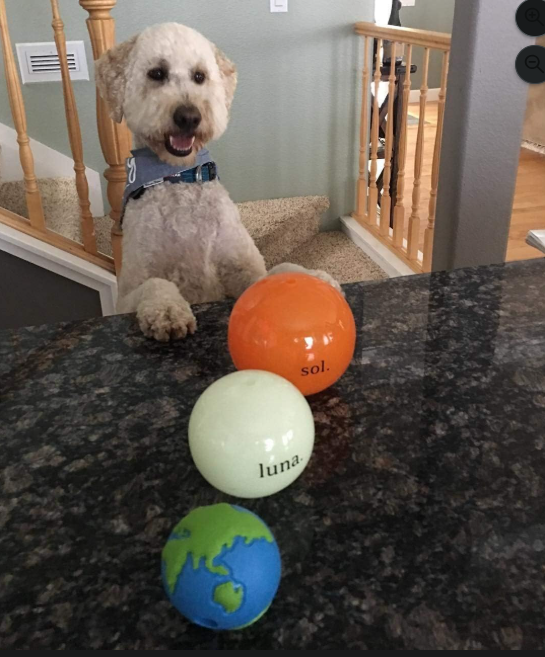 Interactive Treat Dispensing Dog Ball Toy