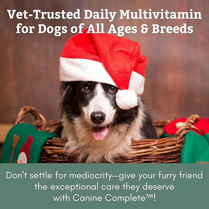 Wholistic Pet Organics Canine Complete - Dog Multivitamin Powder - 1 Lb - Daily Dog Vitamins and Supplements for Homemade Food - Immune System, Skin, Coat & Overall Health - All Breeds - 45 Scoops
