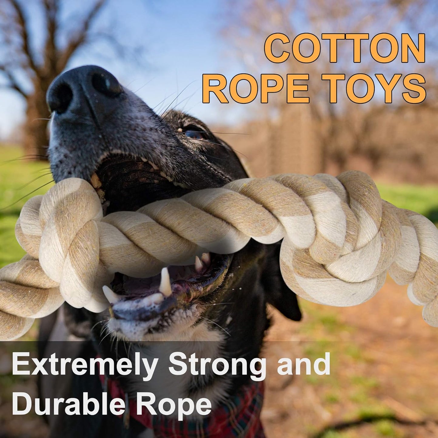 Durable Dog Rope Toy for Aggressive Chewers – Large Dog Tug Toy