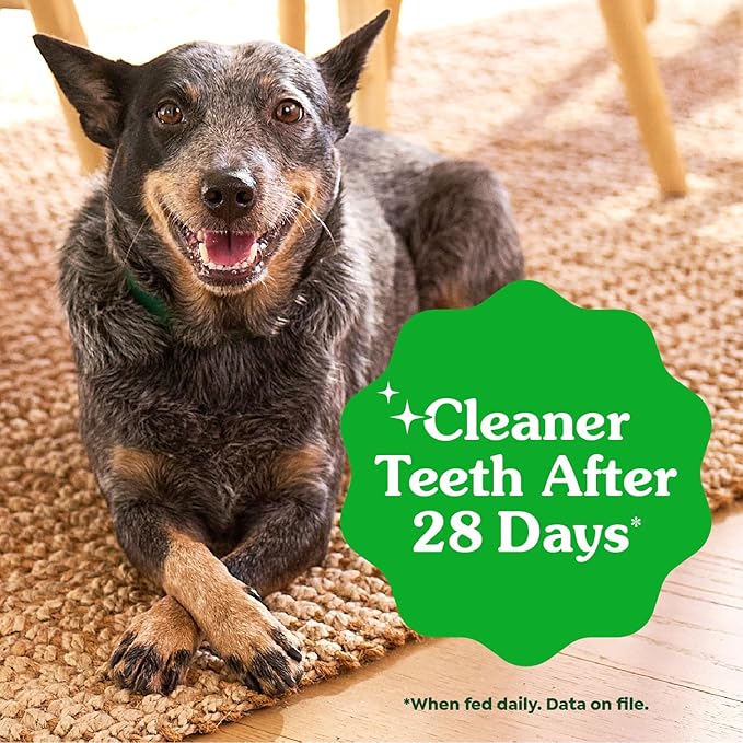 Greenies Original Large Dental Dog Treats, 36 oz. Pack (24 Treats)