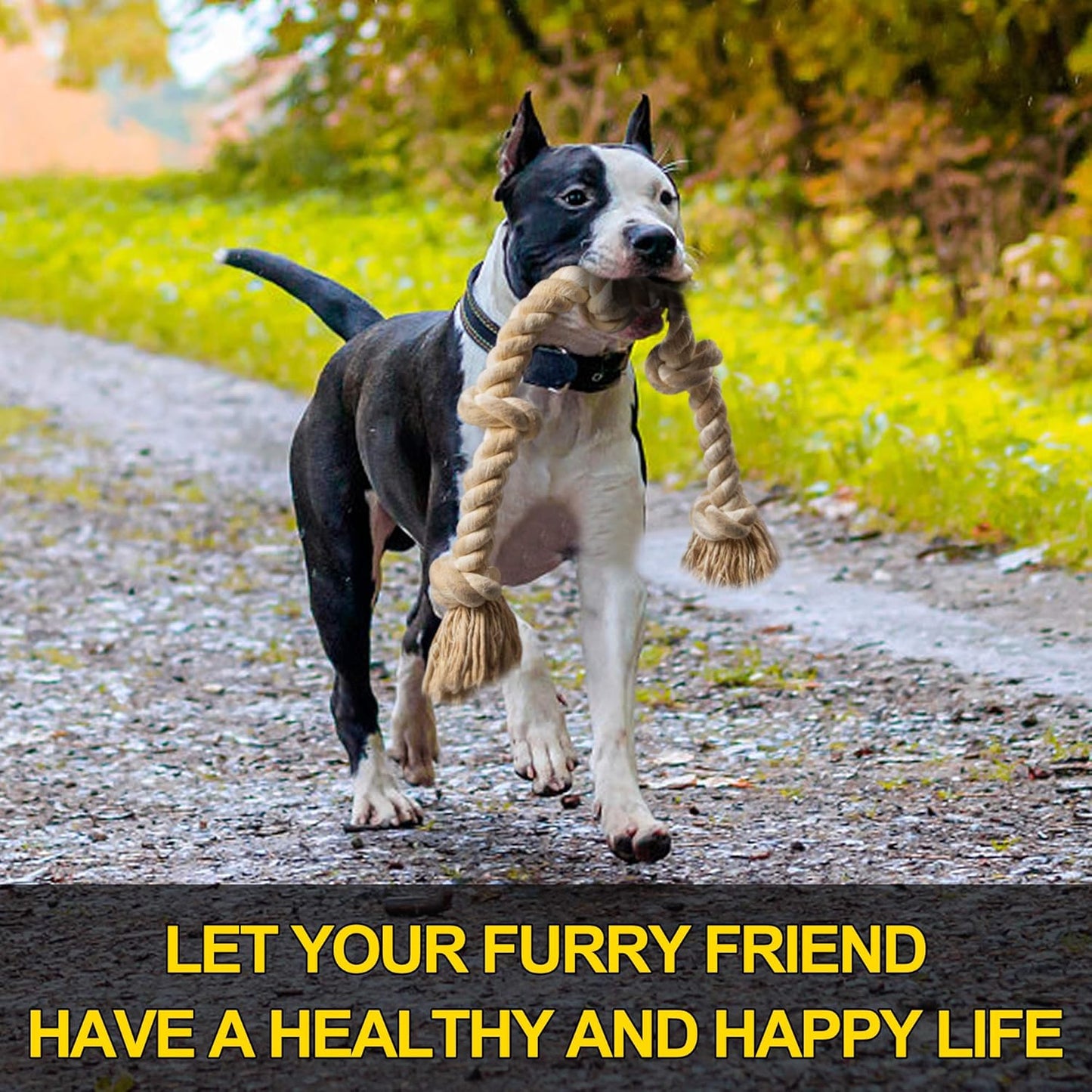 Durable Dog Rope Toy for Aggressive Chewers – Large Dog Tug Toy