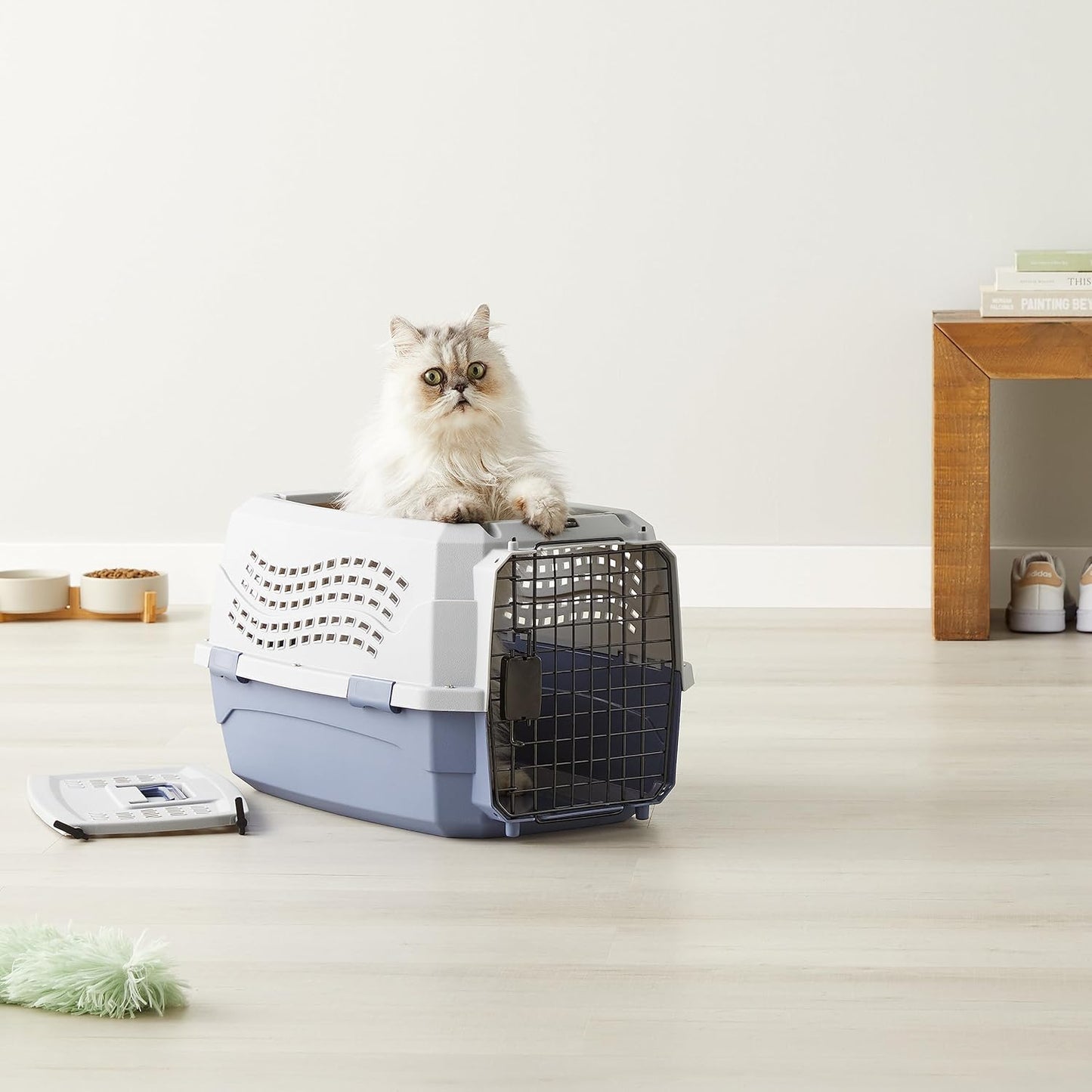 Hard-Sided Pet Travel Carrier for Cats & Small Dogs
