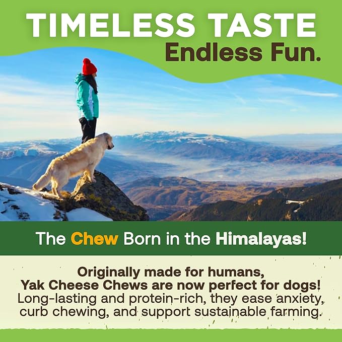 EcoKind Premium Gold Yak Cheese Himalayan Dog Chews, Dog Treats for Medium Dogs, All Natural, High Protein, for Aggressive Chewers, Medium - 6 Chews
