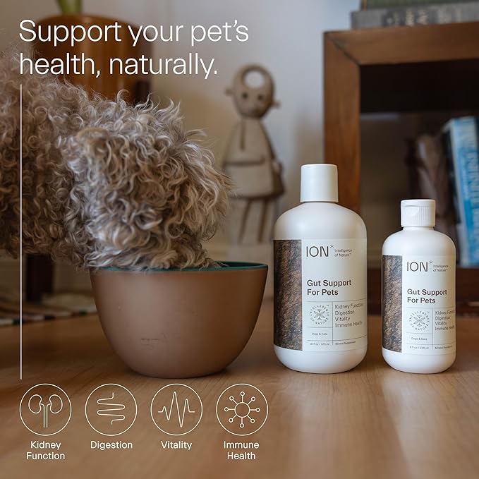 ION* Intelligence of Nature Gut Support for Pets - Liquid Probiotics Drops Alternative for Dogs & Cats, Digestive Health for Puppies, Skin & Hair Health - 8 fl oz (Pack of 1)