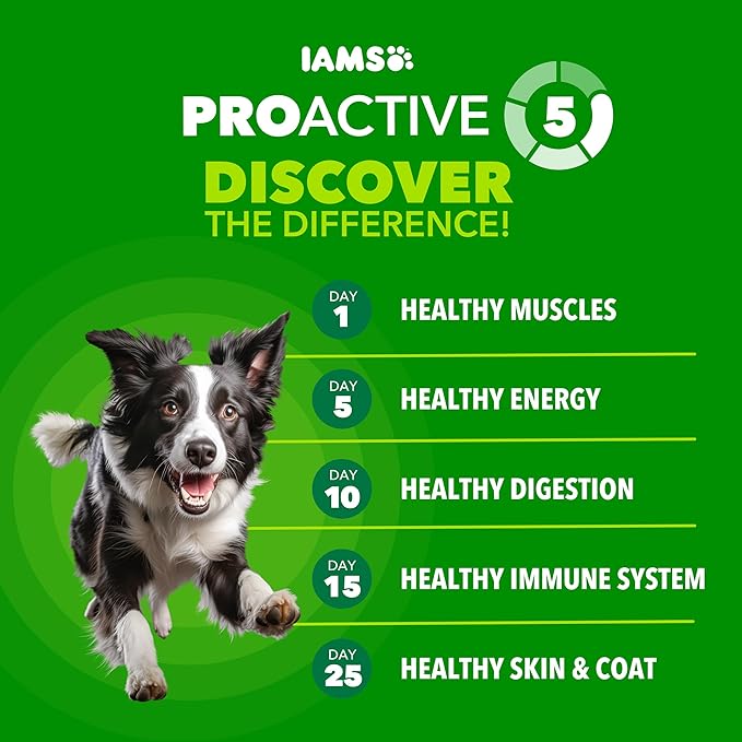 IAMS Proactive Health Adult Dry Dog Food Beef and Rice Recipe, 15 lb. Bag