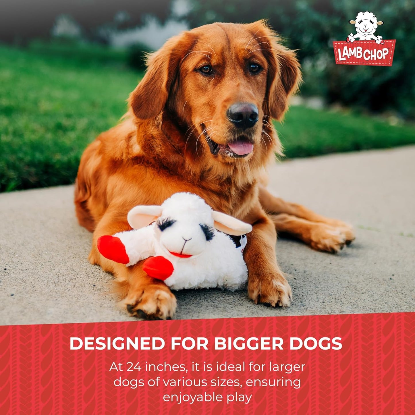 Soft Plush Dog Toy – Lamb Chop Squeaky Toy