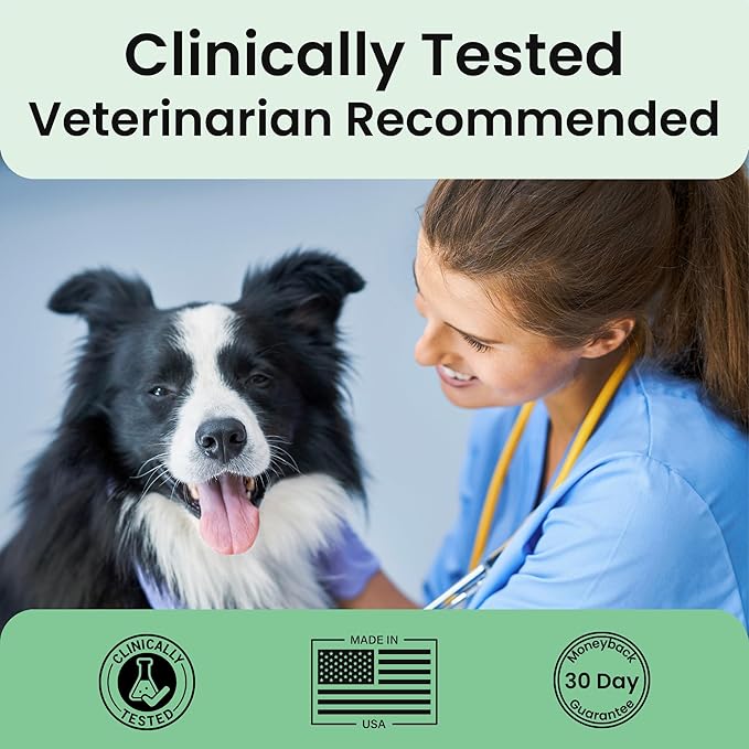 Extend Joint Care for Dogs - Hip and Joint Supplement Powder - Glucosamine for Dogs - Joint Pain Relief - MSM - Mobility & Flexibility Support - Advanced Joint Health - Made in USA