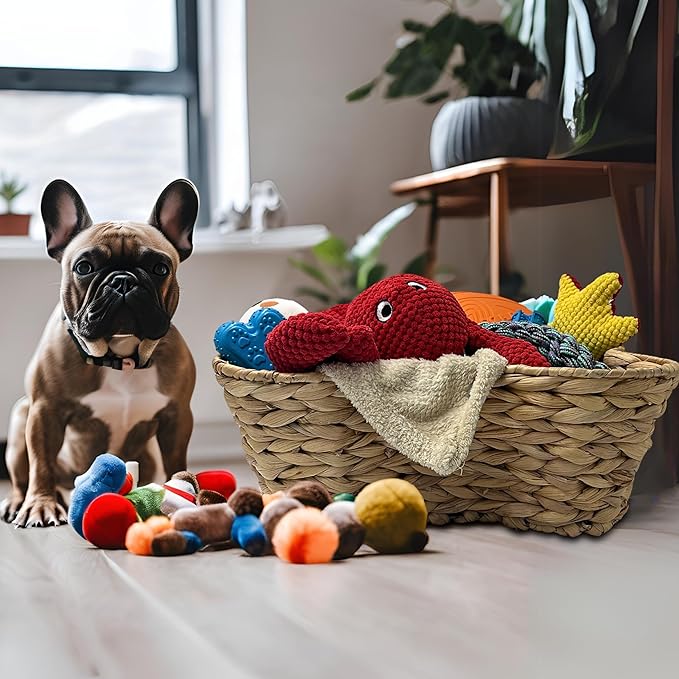 Dog Toy Storage Basket – Bone Shaped Wicker Pet Toy Organizer