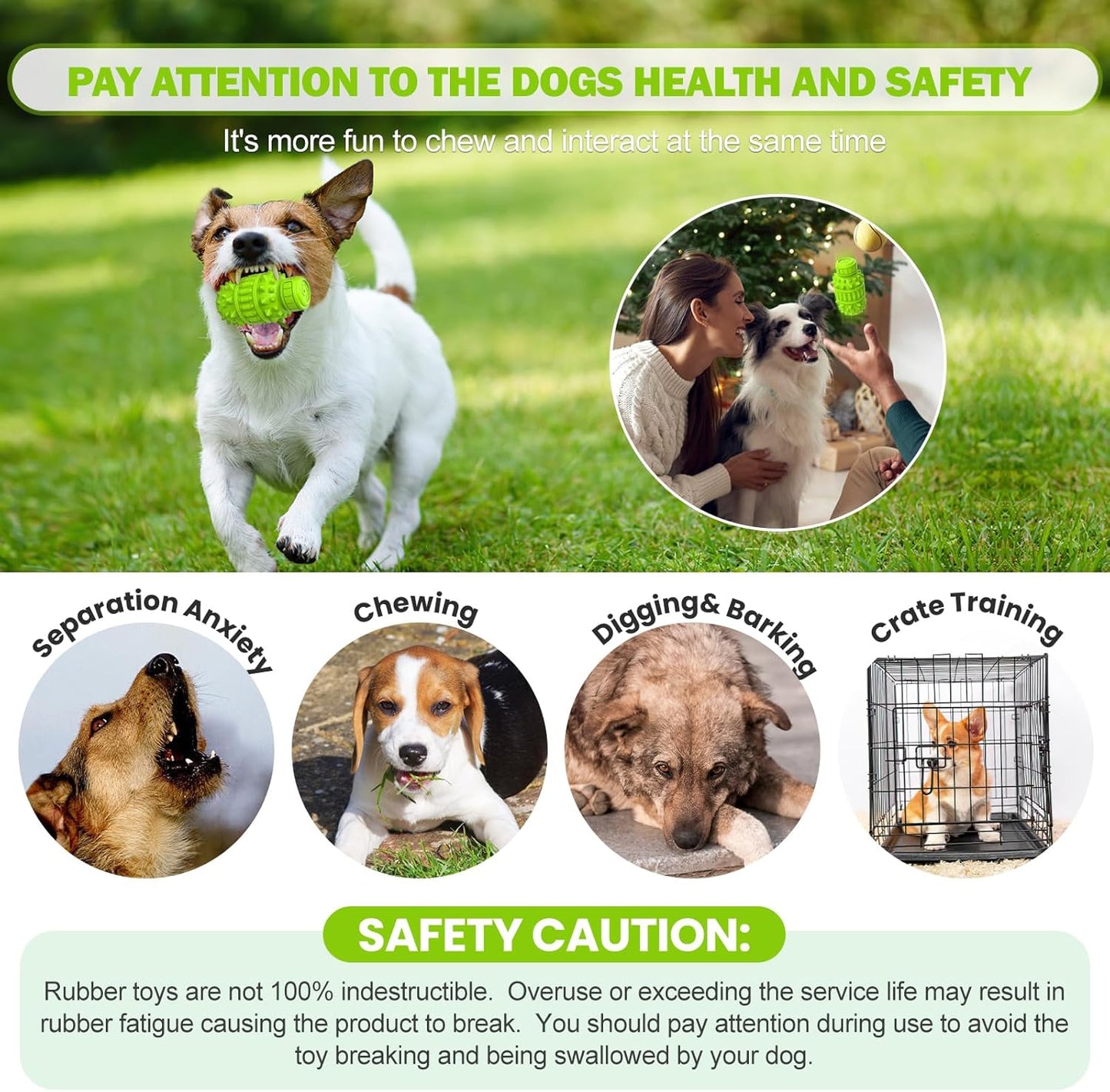 Interactive Natural Rubber Chew & Squeaky Dog Toy