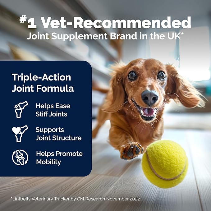 Yumove Hip & Joint Supplement for Dogs with Glucosamine, Hyaluronic Acid, Green Lipped Mussel & Omega 3 Joint Supplement - Regular or Advanced Strength (45 Count, Advanced Vet Strength Soft Chews)