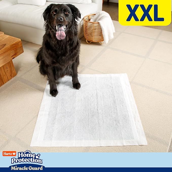 Hartz Home Protection Miracle Guard Dog Pads, XXL Size 20 Count, 3X Absorbency & 3X Longer use, Won't Leak and Odor Eliminating