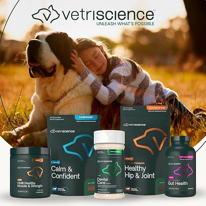 VetriScience Extra Strength Healthy Hip & Joint Chews, GlycoFlex Glucosamine and Green-Lipped Mussel Joint Support Supplement for Dogs, Promote Mobility & Soothe Joint Discomfort, Chicken, 60 Count