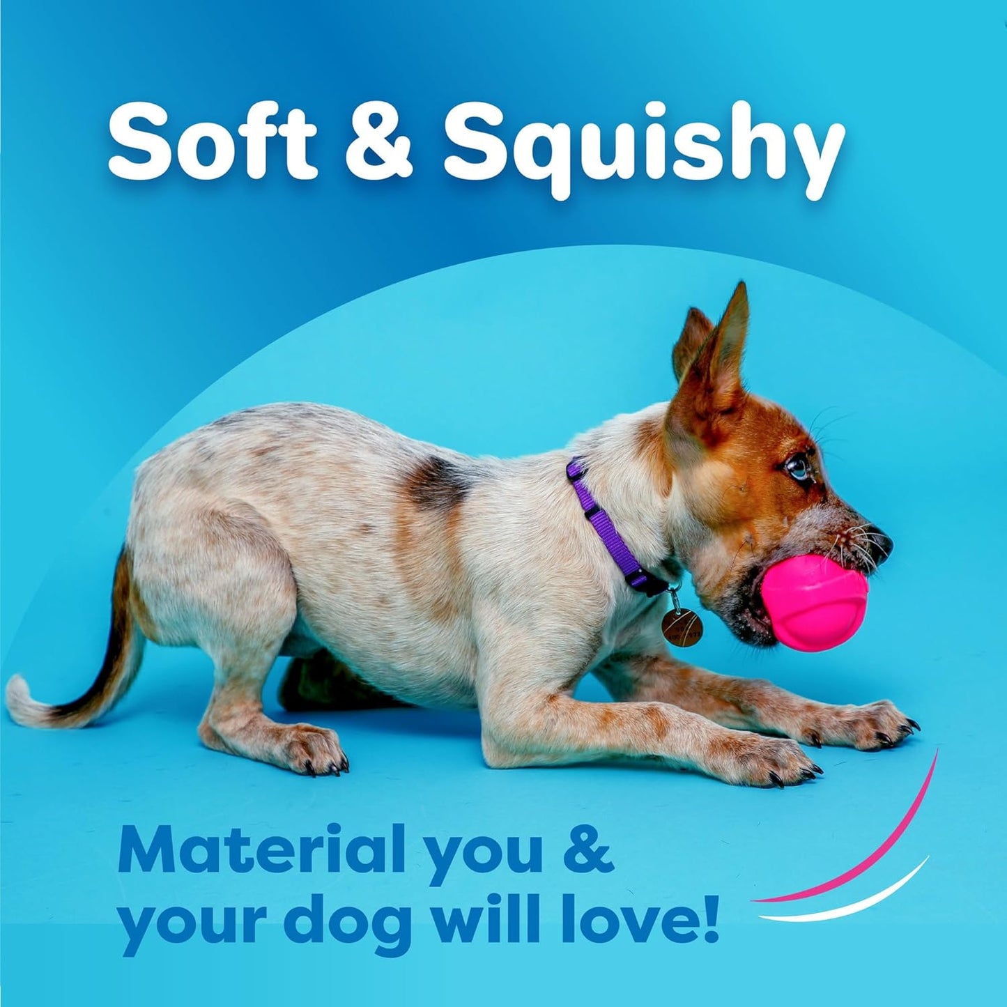 Squeaky Latex Dog Toy – Soft Chew & Interactive Play Toy