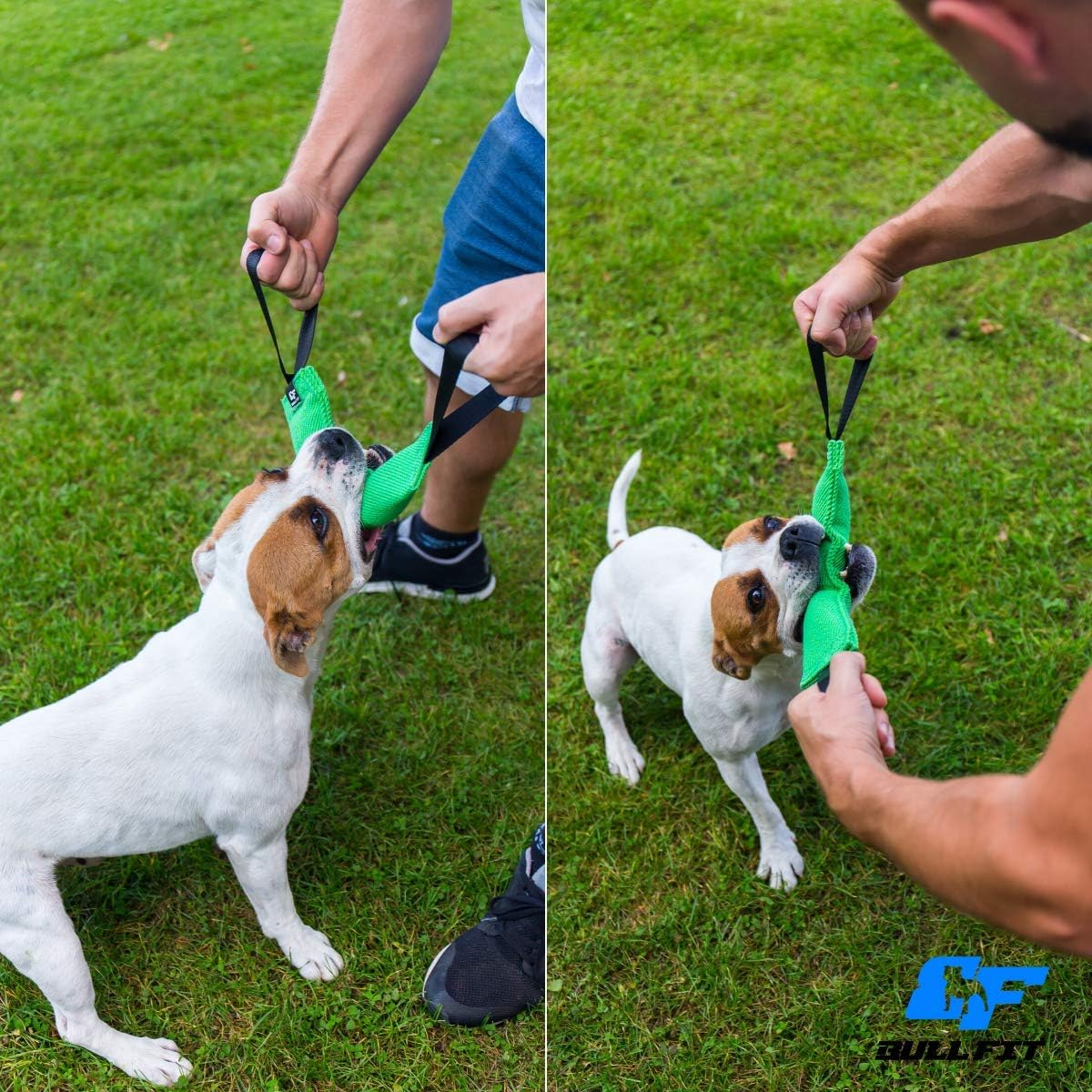 Heavy Duty Dog Tug Toy with Handles – Strong & Interactive Training Toy