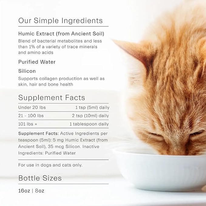 ION* Intelligence of Nature Gut Support for Pets - Liquid Probiotics Drops Alternative for Dogs & Cats, Digestive Health for Puppies, Skin & Hair Health - 8 fl oz (Pack of 1)
