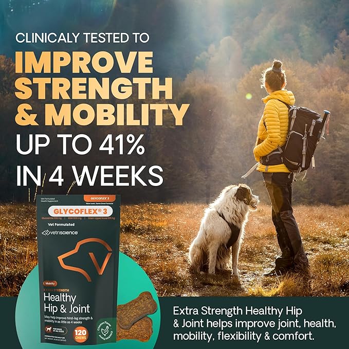 VetriScience Extra Strength Healthy Hip & Joint Chews, GlycoFlex 3, Glucosamine, Green-Lipped Mussel, Joint Support Supplement for Dogs, Promote Mobility & Soothe Joint Discomfort, Chicken, 120 Count