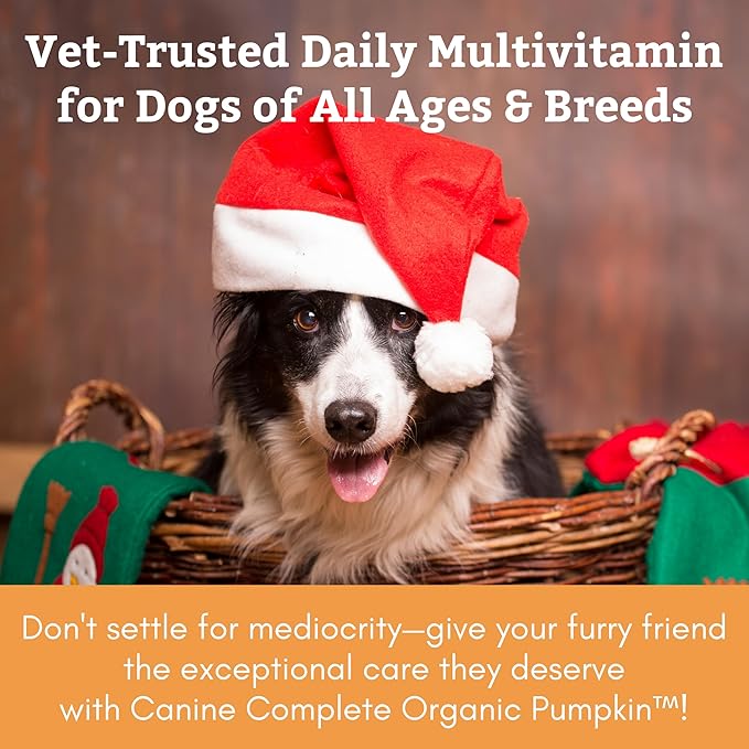 Wholistic Pet Organics Canine Complete - Dog Multivitamin Powder - 1 Lb - Daily Dog Vitamins and Supplements for Homemade Food - Immune System, Skin, Coat & Overall Health - All Breeds - 45 Scoops