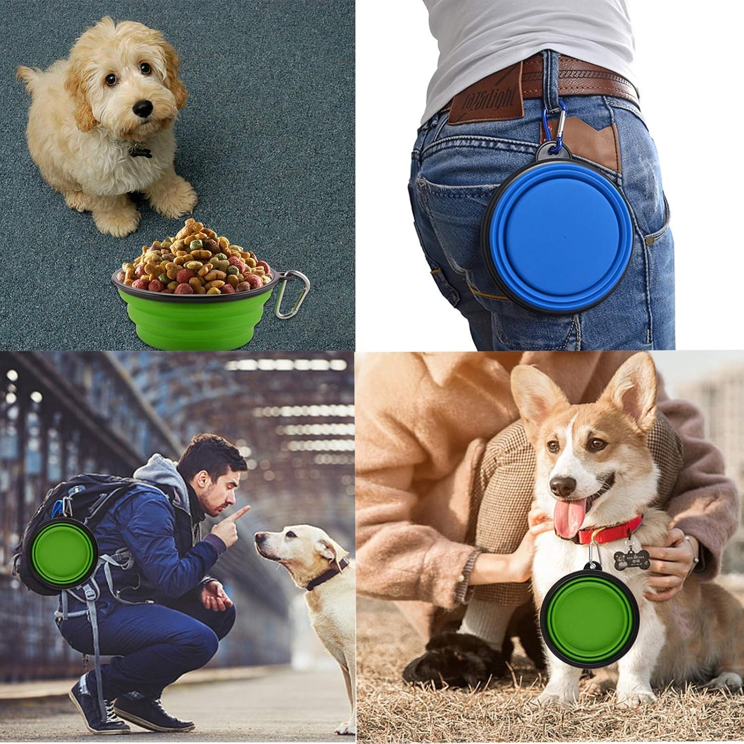 Collapsible Dog Travel Bowl (Portable & Foldable Water Bowl)