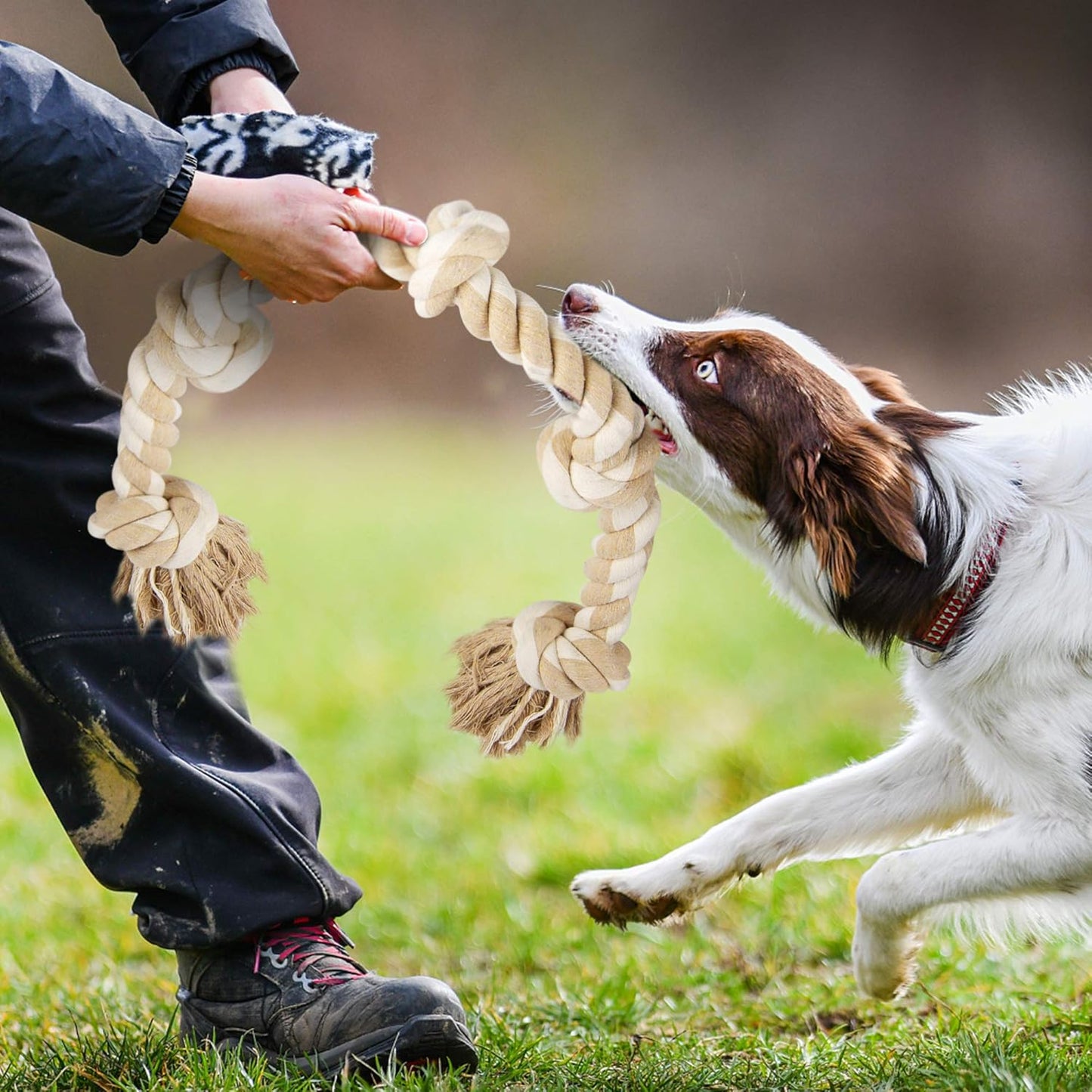 Durable Dog Rope Toy for Aggressive Chewers – Large Dog Tug Toy