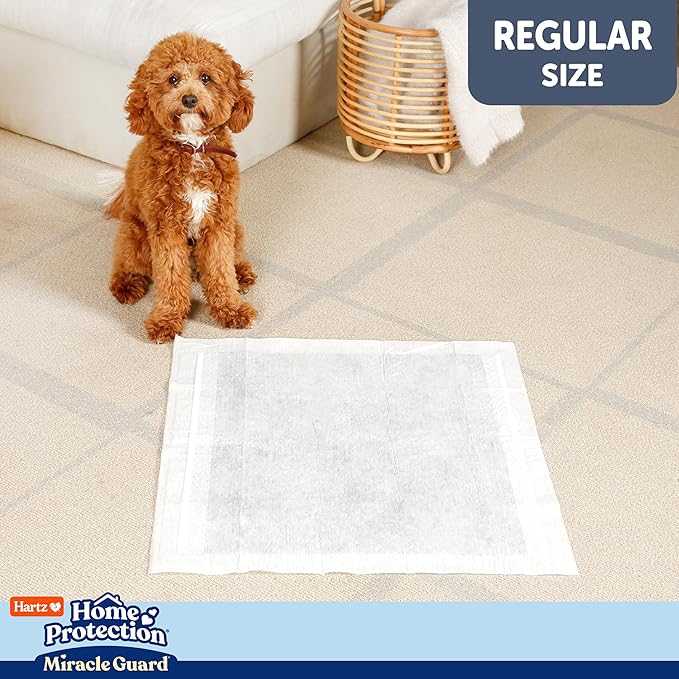 Hartz Home Protection Miracle Guard Dog Pads, Regular Size 50 Count, 3X Absorbency & 3X Longer use, Won't Leak and Odor Eliminating