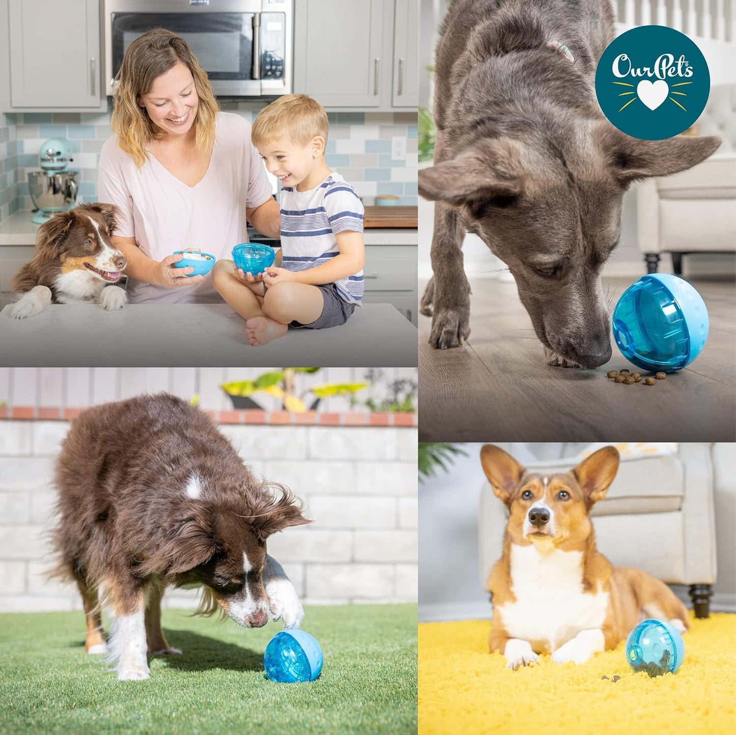Interactive Treat Ball Dog Toy – Slow Feeding & Mental Stimulation