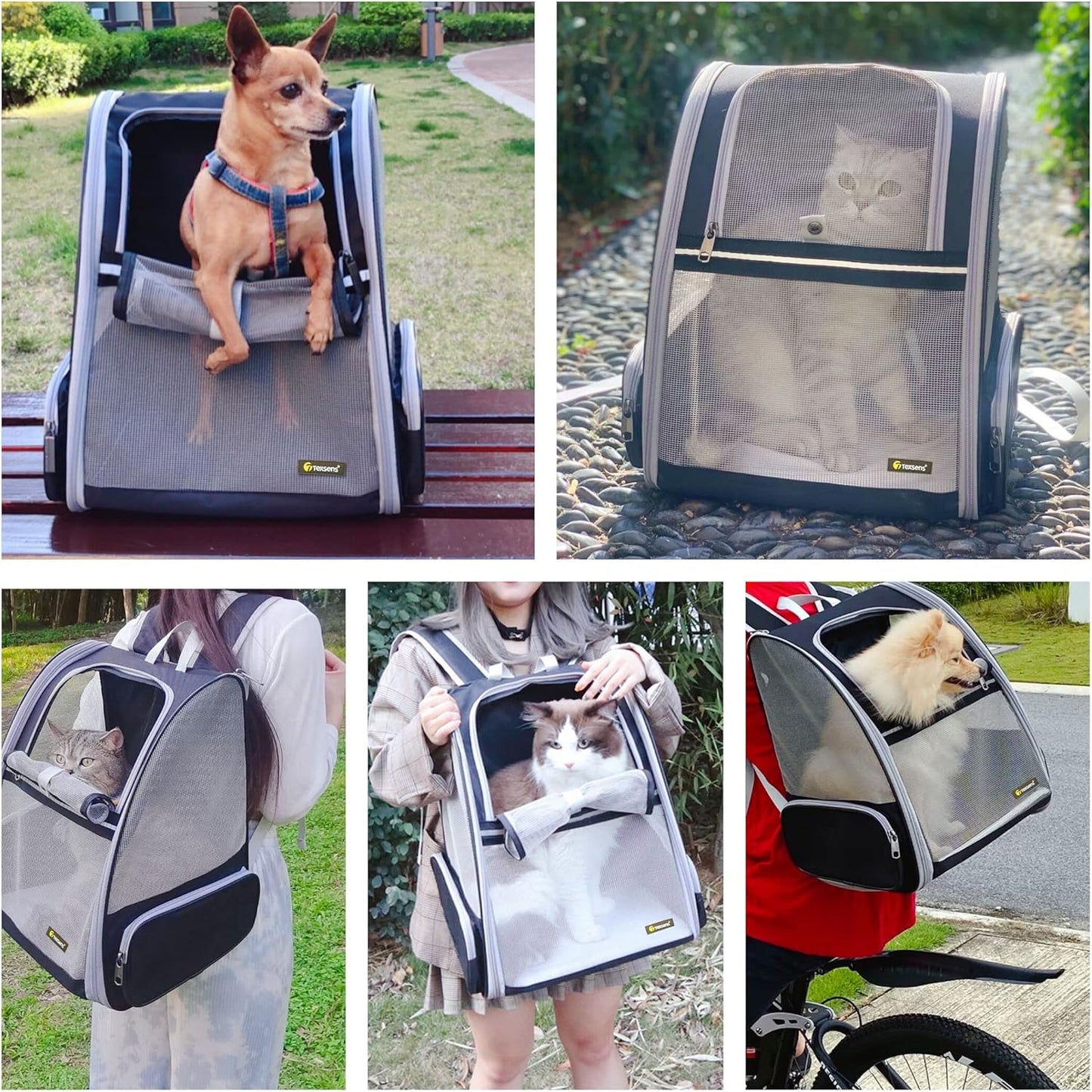 Pet Carrier Backpack for Small Dogs and Cats