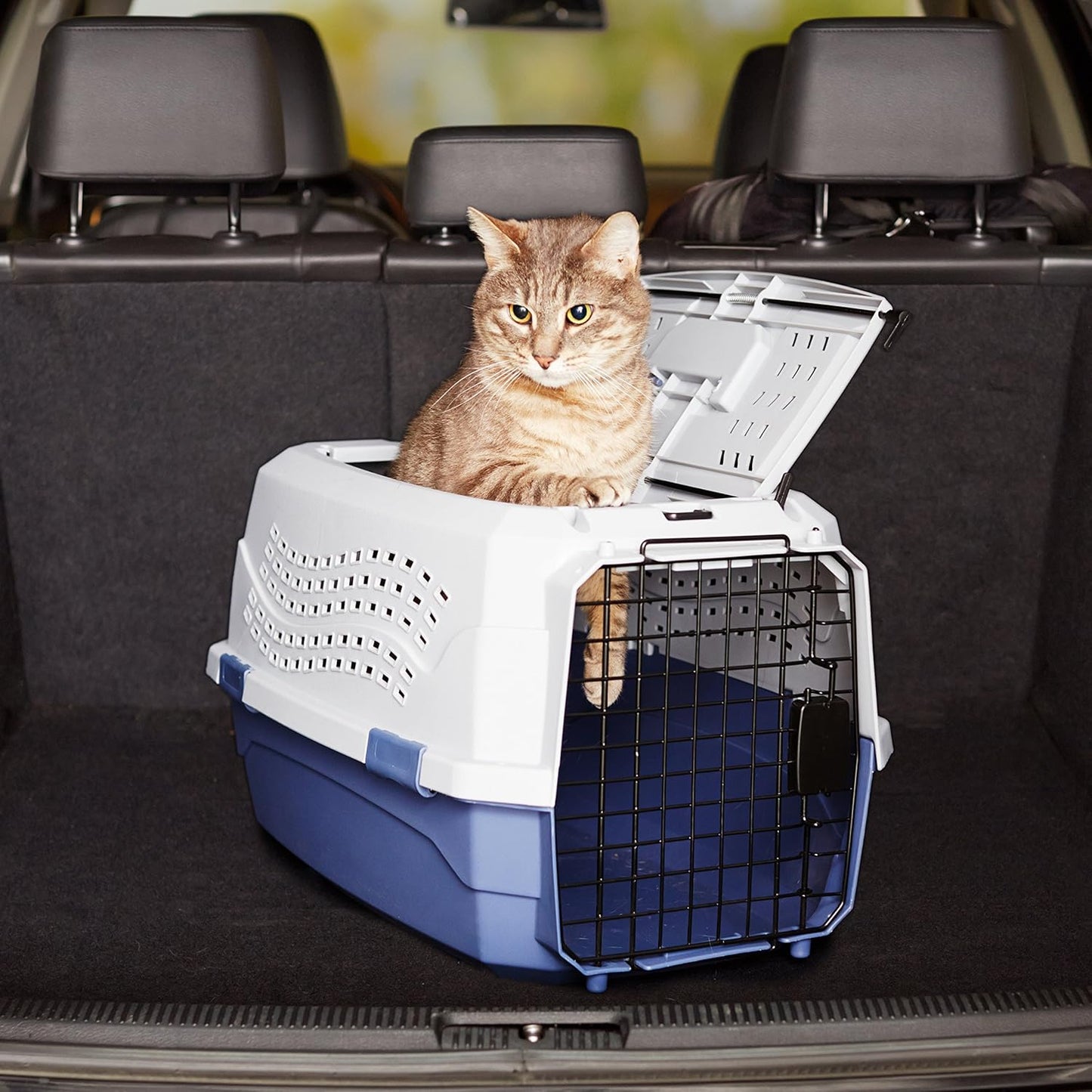 Hard-Sided Pet Travel Carrier for Cats & Small Dogs